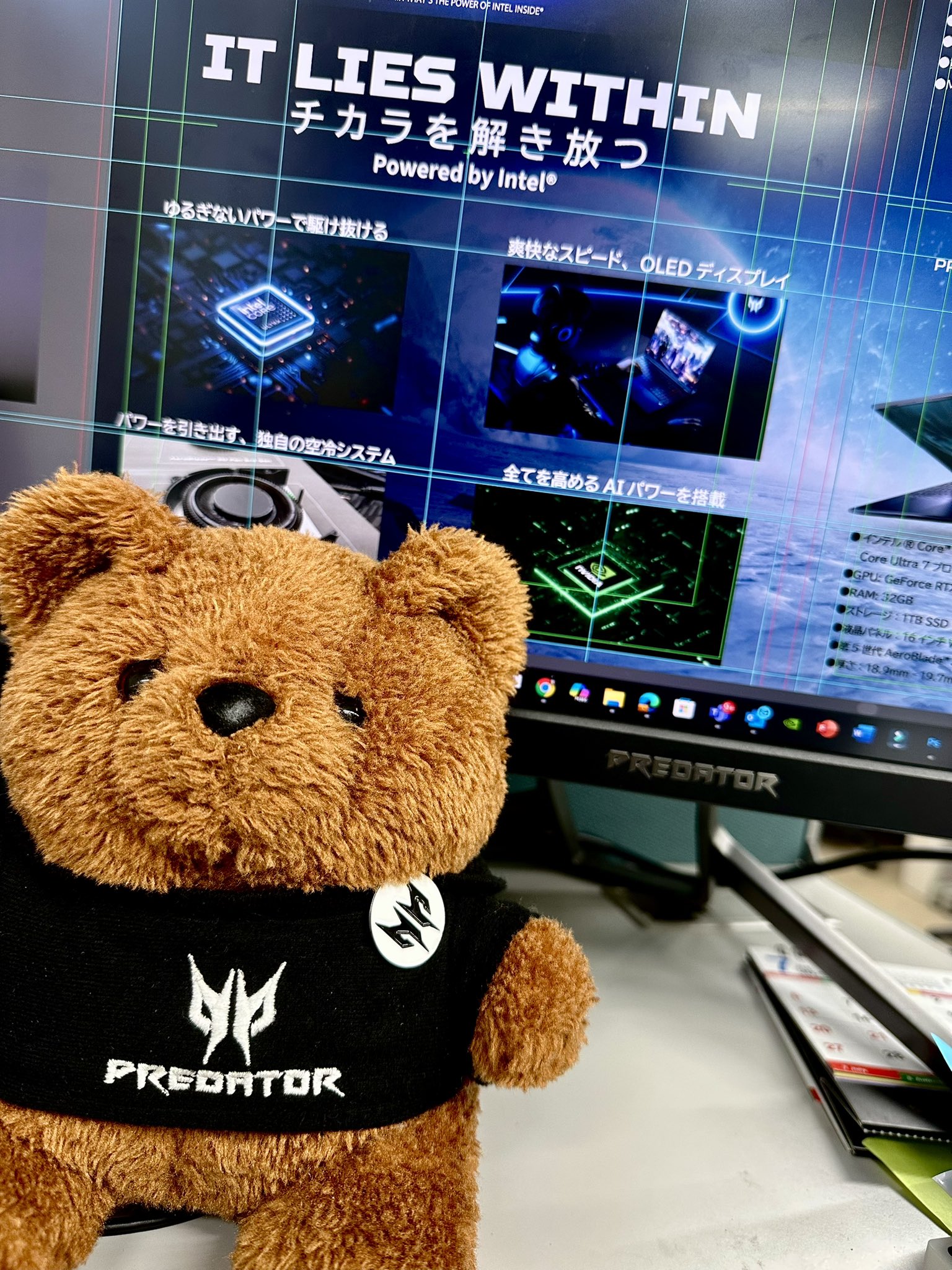 日本エイサー　プレデター　プレベア　ぬいぐるみ　テディベア Predator Bear 📣🧸🔥 #AcerPlayMaster (@predator_bear) / X