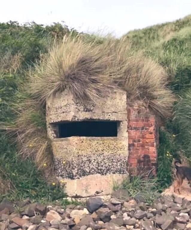 Why am I suddenly thinking about Rod Stewart?