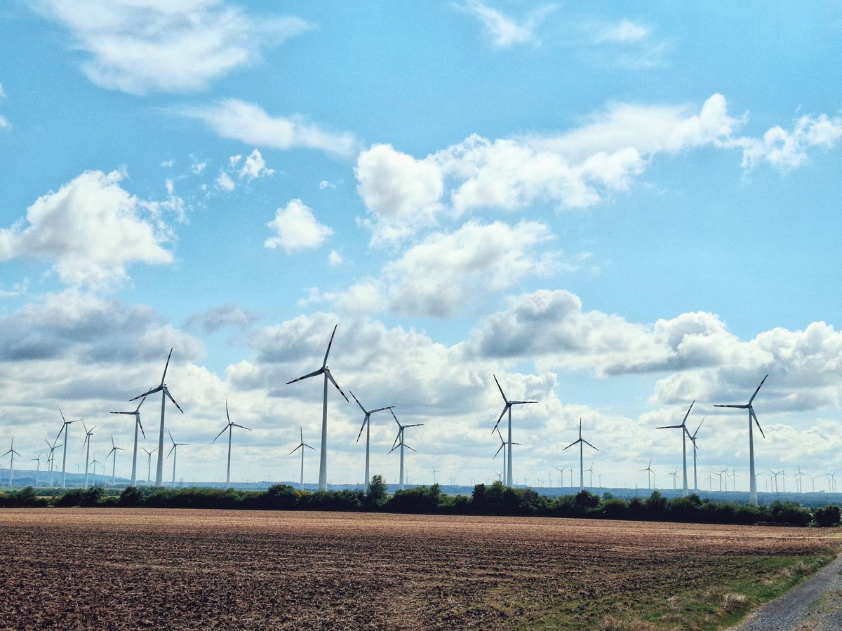 OE_Markus's tweet photo. Schön ist das jedenfalls nicht. 🤨
#Windkraft #Windraeder #Strompreis https://t.co/HjQcseL7Ss
