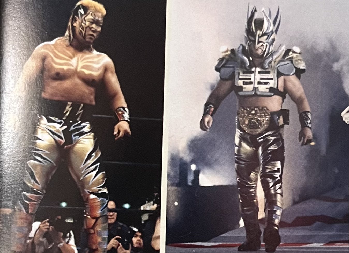 HAO 佐々木健介 2025年最新】佐々木健介 フィギュアの人気アイテム - メルカリ