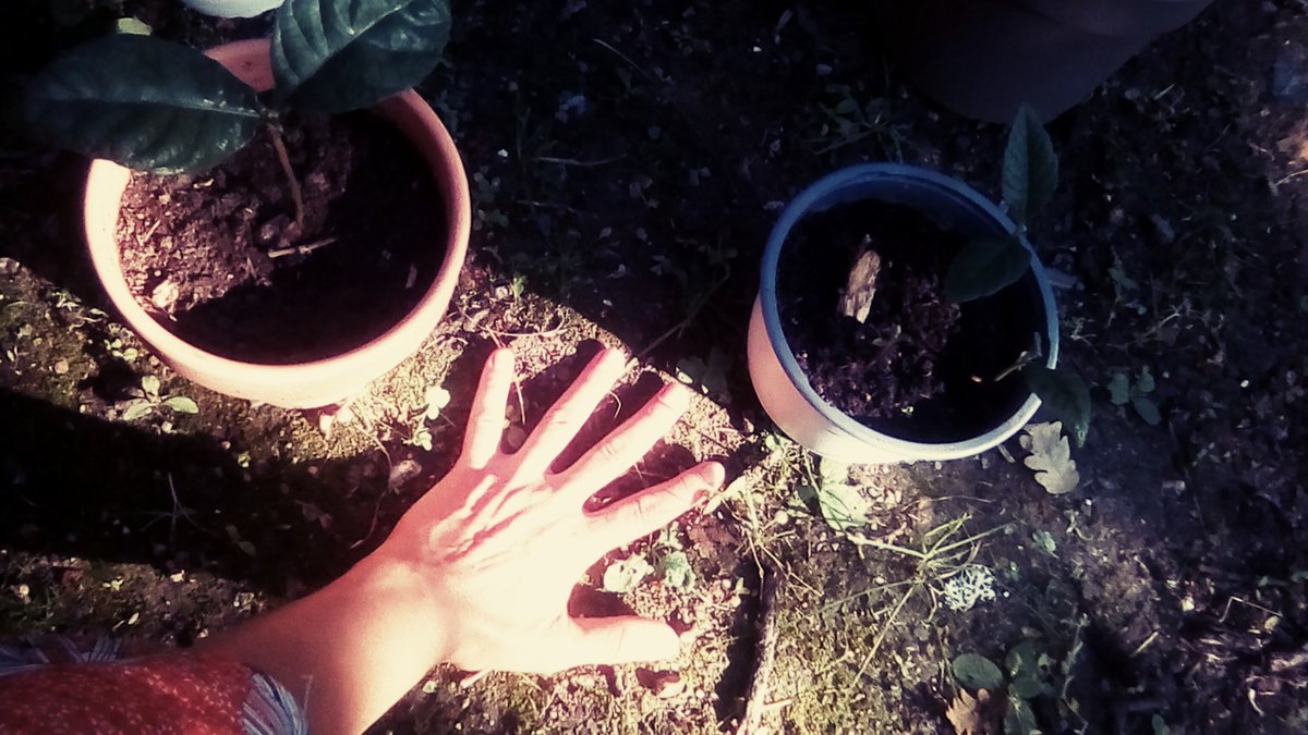 Esther_Salamanq's tweet photo. #ConlasmanosenlatierraRadio3
Con las #manis en la #tierra #equilibro el paisaje eléctrico de mi cuerpo 💦🐋🍃🌸🎋🧚🏼♀️
Buen día #Conmovides del #mundo !! #FelizDomingo @BosqueHabitado
#Cuida las #Plantas porque #Gracias a ellas es que #Respiras 🌱🌤️🎋
#Ecofeminismo #medular https://t.co/ZLjESwOjjO