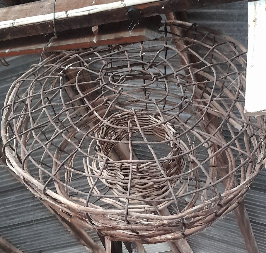 Agvocate_Au tweet media