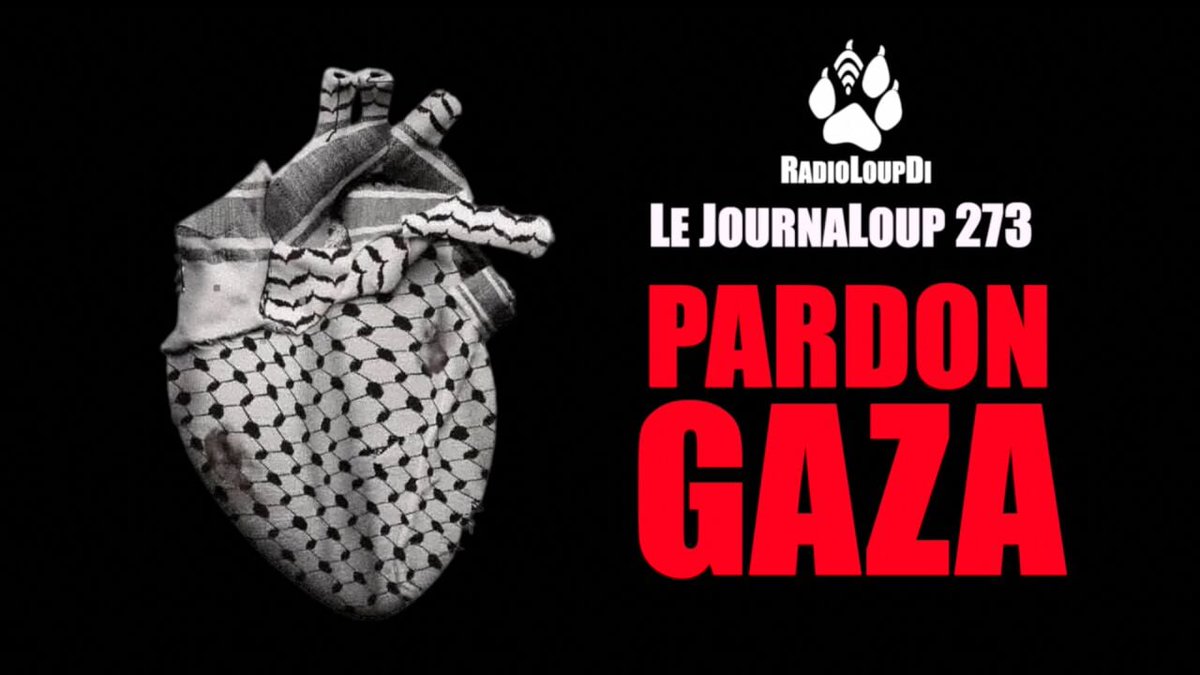 __Le_Bon__'s tweet photo. Le JournaLoup 273 - Pardon Gaza... - Loup Divergent 2025.08.01
https://t.co/I3oaPuZV3f https://t.co/HFMuLbcVCJ