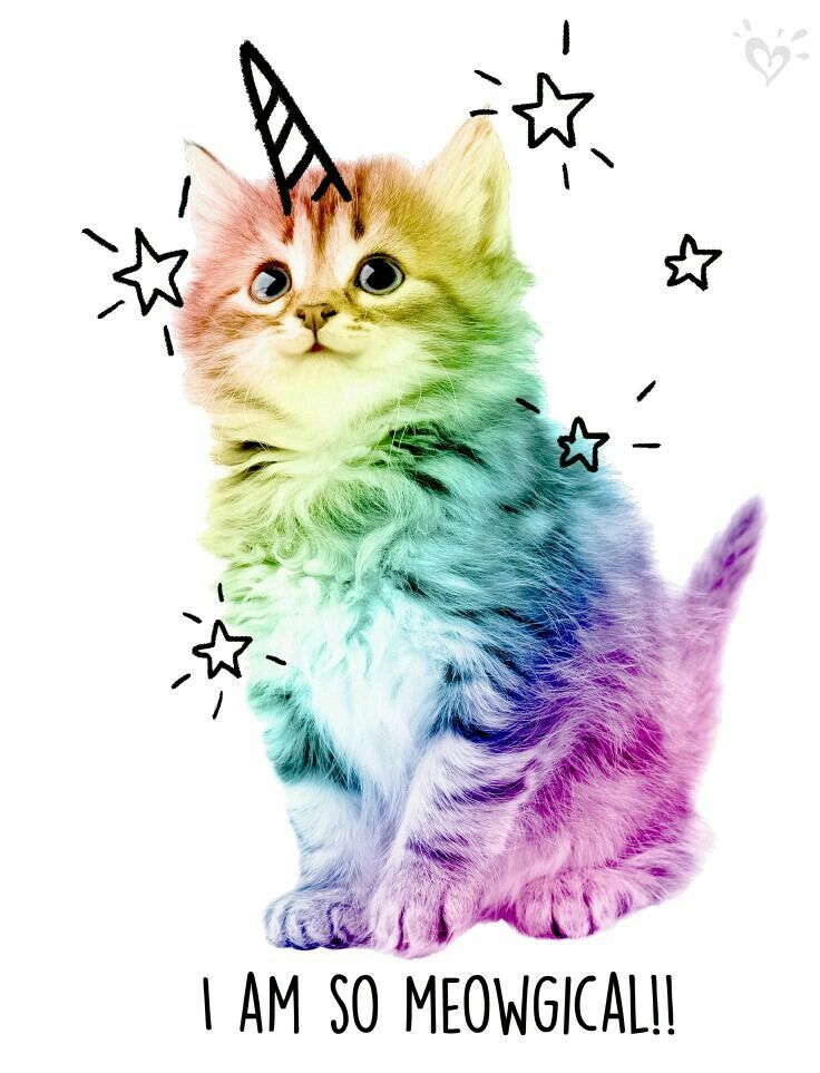 goldingHound's tweet photo. :3c https://t.co/FEPrc0vJR0
