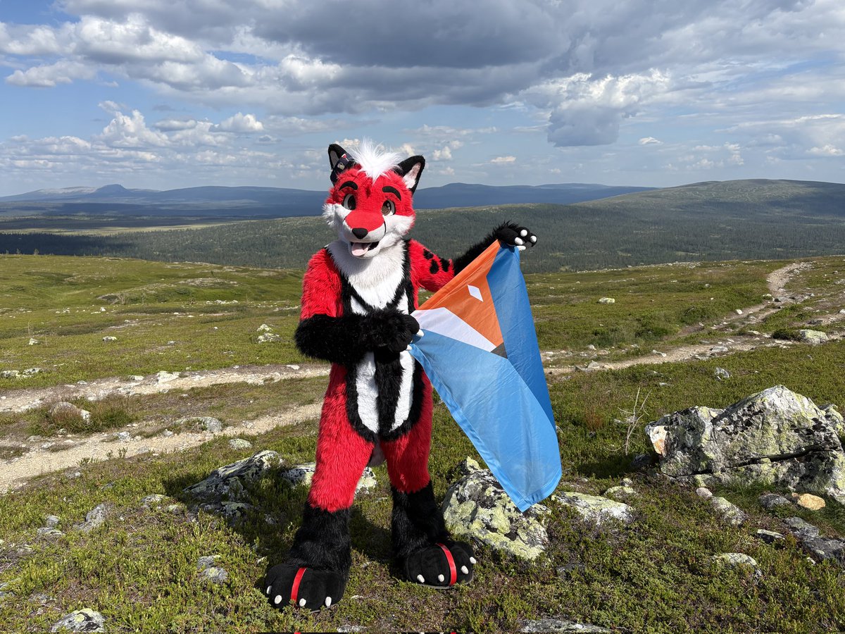let's conquer more territory for the fox kingdom !!

📷 <a href="/SzurkyWolf/">Szürky Farkas @NFC</a>
