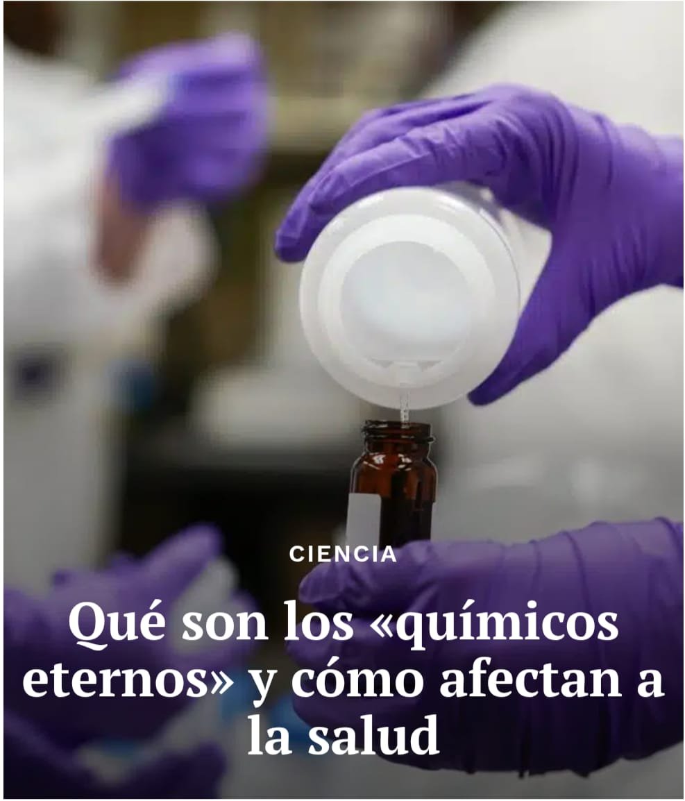 🧵5/8
¿Consecuencias? 

Cánceres hormonales, infertilidad, abortos, obesidad, diabetes y alteraciones neurológicas que afectan la memoria, el aprendizaje y el desarrollo cerebral. 

El riesgo es mayor en niños y fetos, cuya vulnerabilidad es mucho más alta.