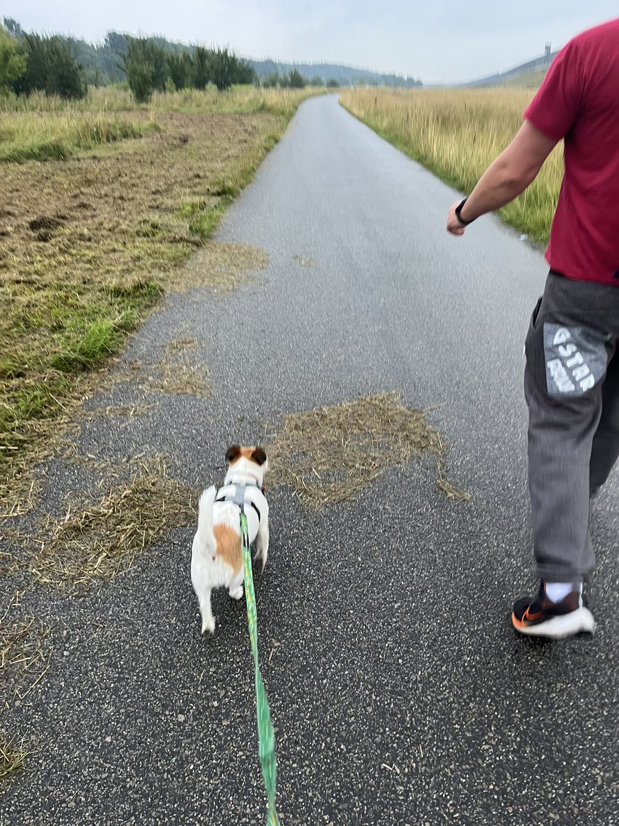 bbarrbbarra's tweet image. Mokro. Podobno lato😵‍💫

#spacerowo #ruch #to #zdrowie #planeta #płonie