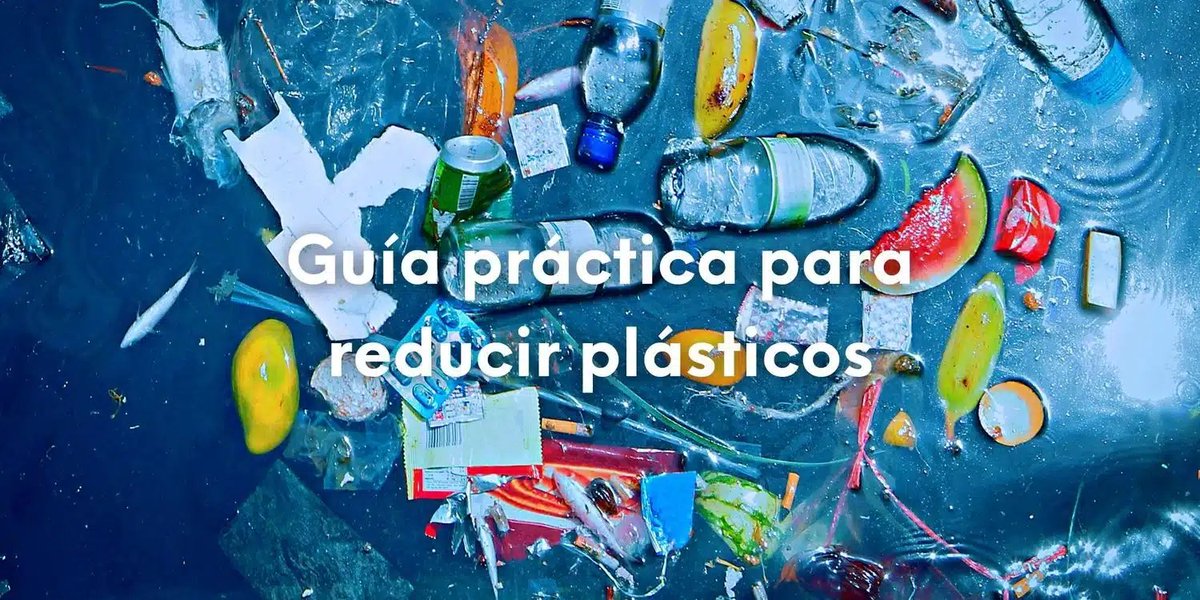 🧵7/8
La solución no es únicamente reciclar. 

El Dr. Olea aconseja reducir al máximo el uso de plásticos, sustituirlos por vidrio o acero inoxidable para almacenar agua y comida, y nunca reutilizar envases diseñados para un solo uso. 

Es cuestión de salud, no de moda.