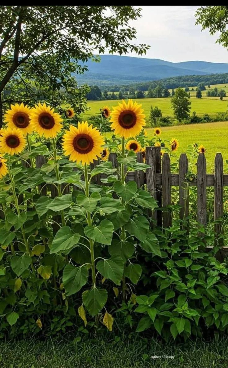 In the tapestry of life, friends are the vibrant threads that make the picture complete. #Sunday 
#FriendshipDay2025