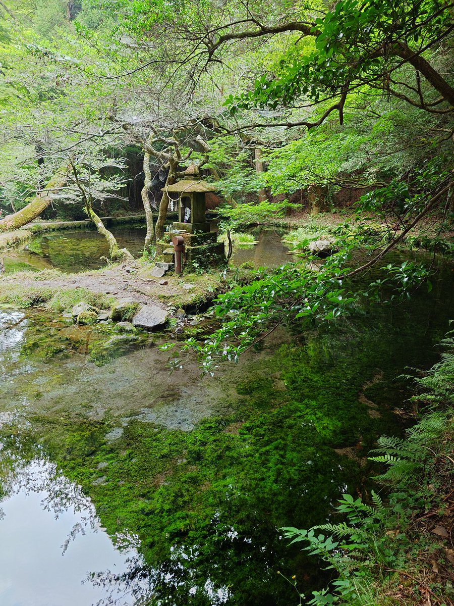 水のきれいなとこに行った
涼しい
