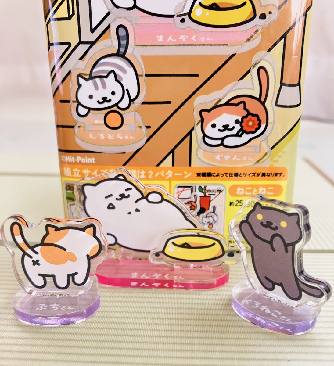 たまたま寄った駄菓子屋さんで発見🐈‍⬛

カワイイ！