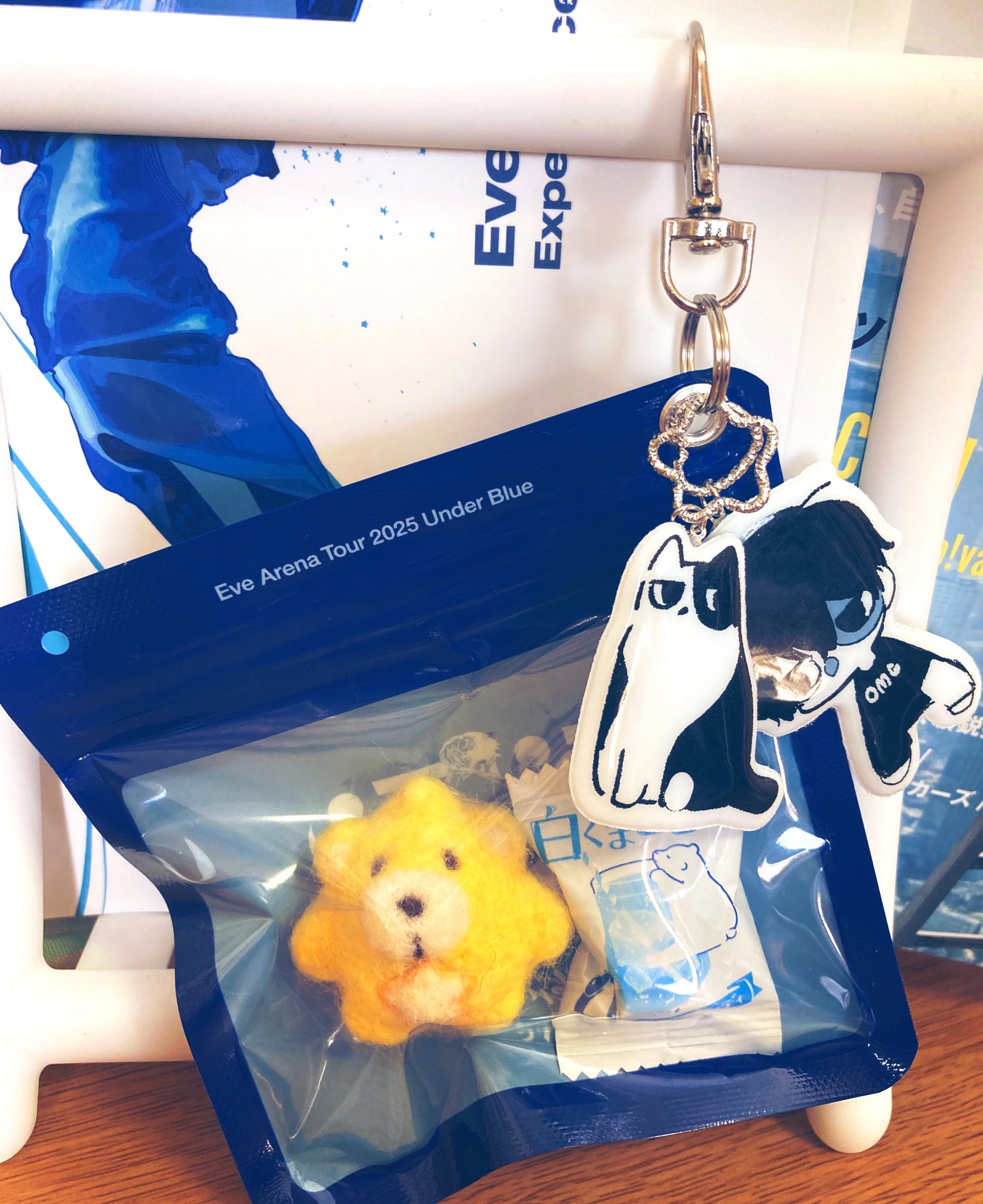 Eve Arena Tour 2025 くじ ぬいぐるみ Eve アイコンぬいぐるみ Under