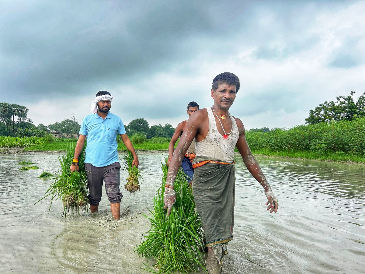 आज सुबह अपने खेत पर 🌾