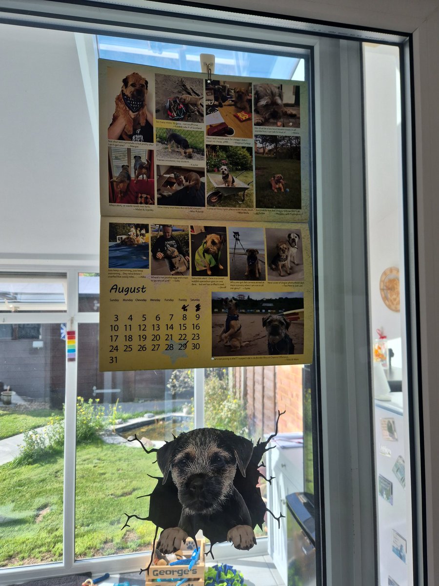 George, baby furbro to Sid π OTRB (@bthooligan) on Twitter photo #BTPosse <a href="/claptonterrier/">Sir Clapton Terrier</a> <a href="/MistaHippyDalek/">Lord Hippy β€οΈ Lebowski</a> I see a Kalendar on our wall & mum tells me that it comes out every year with furs pictures in, is there one for next year & maybe I could get in it π€ #BTPosse <a href="/claptonterrier/">Sir Clapton Terrier</a> <a href="/MistaHippyDalek/">Lord Hippy β€οΈ Lebowski</a> I see a Kalendar on our wall & mum tells me that it comes out every year with furs pictures in, is there one for next year & maybe I could get in it π€