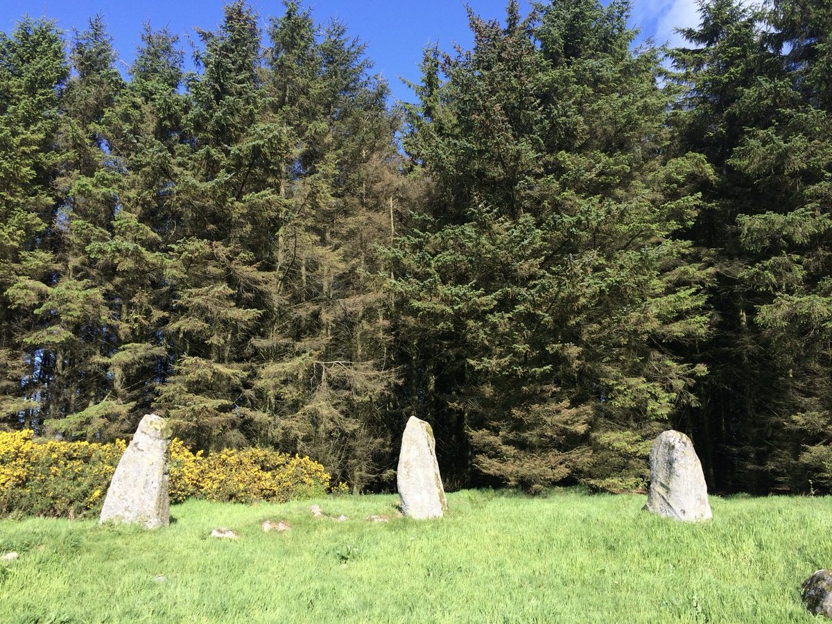 Aikey Brae when the pines were there… #StandingStoneSunday