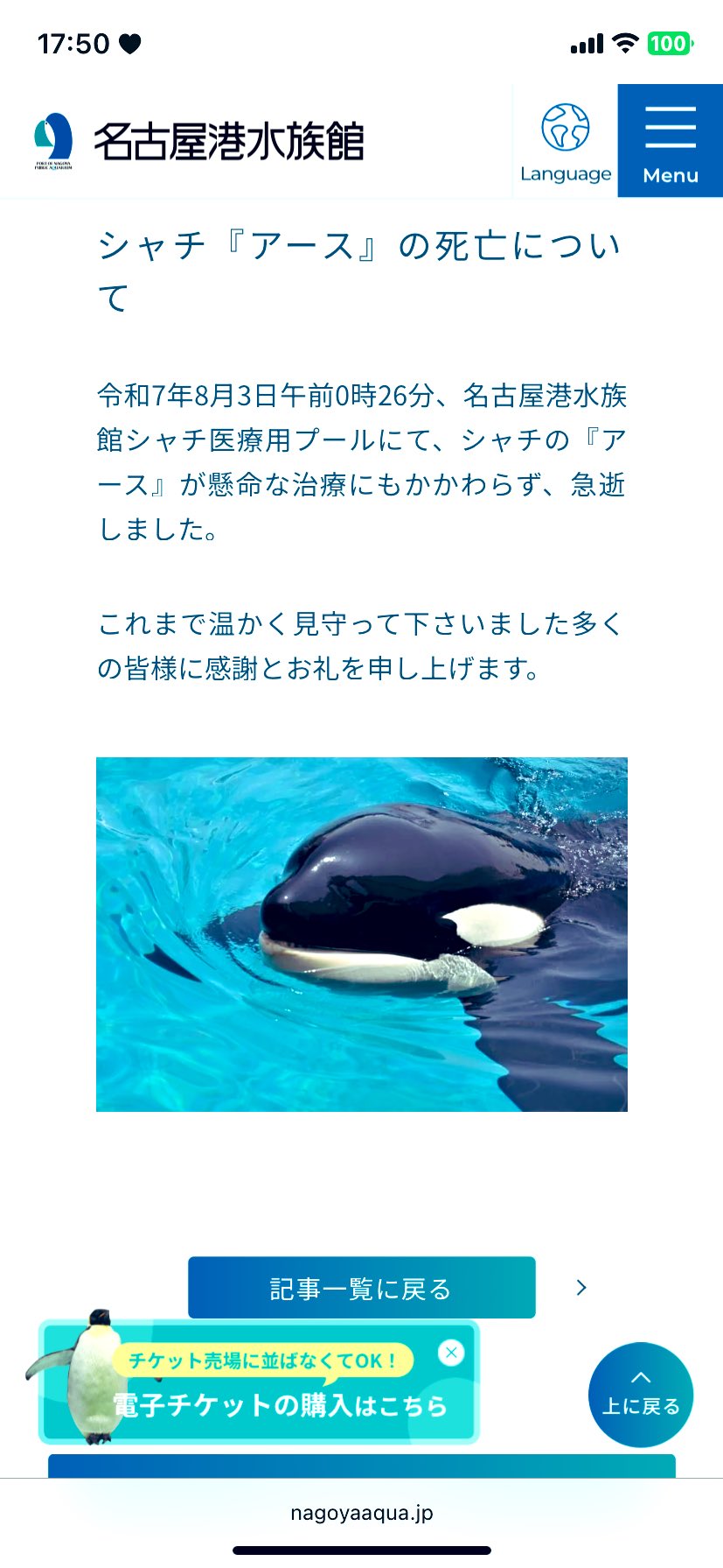 名古屋港水族館 館内ポスター シャチのクーちゃん B1サイズ 非売品 51g2poFmawL._UF350,350_QL80_.jpg