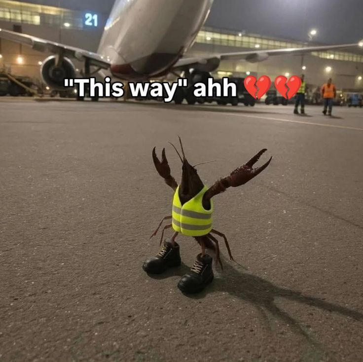 hourly_shitpost's tweet photo. https://t.co/0E2QycRzHc