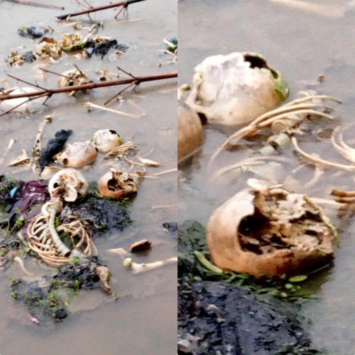 The Arakan Army’s 2 May assault on Buthidaung marked the start of brutal attacks on Rohingya civilians. Evidence links the AA to killings and widespread arson - grave abuses that demand urgent international accountability. Satellite imagery and survivor accounts confirm