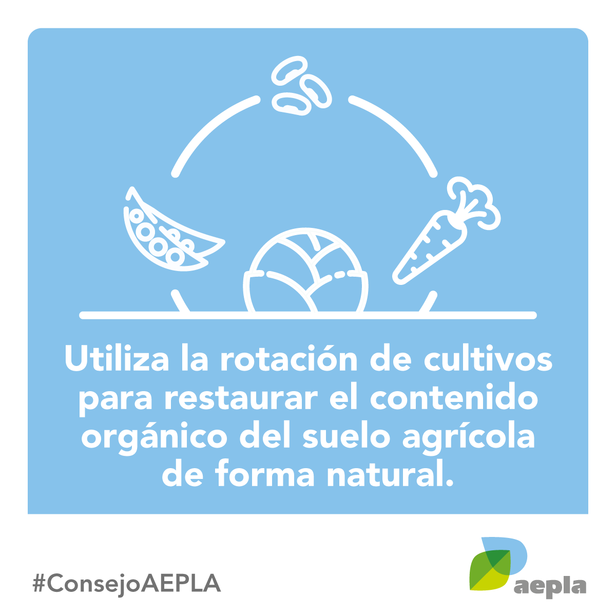 Prioriza aquellas prácticas agrícolas que favorecen la regeneración natural de los nutrientes del suelo, como la rotación de tus cultivos 🌿🔄🌱

#ConsejoAEPLA