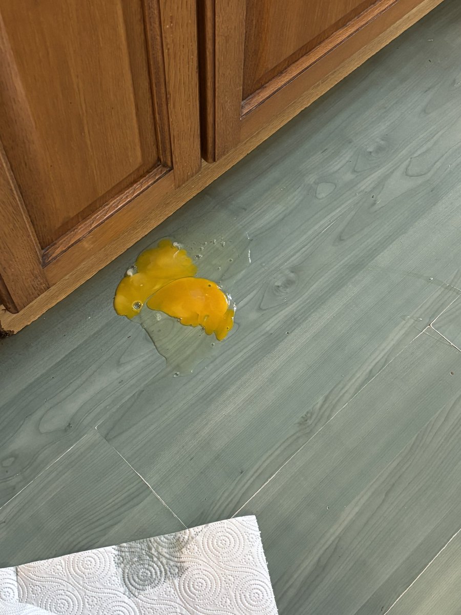 Felt great after my run this morning

And now this

How my morning is going

Stuff is a total bastard to clean up

Bollockin’ ‘ell