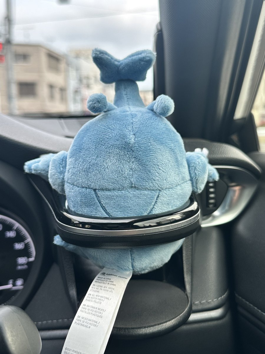 まこと＆ヘラクロス (@pokemakogo) on Twitter photo 