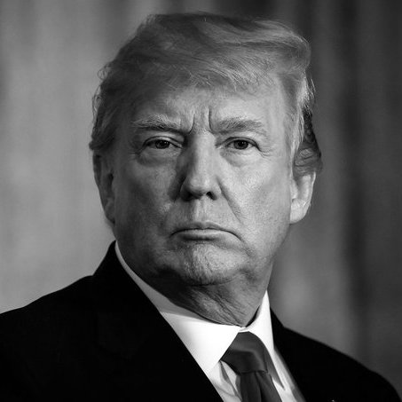 Drop a ❤️, if you've been a President Donald Trump supporter since the very beginning.