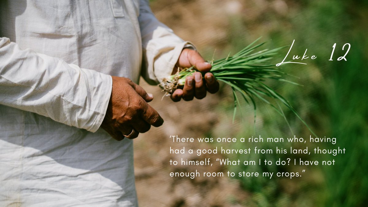 EIGHTEENTH SUNDAY IN ORDINARY TIME (C)
Luke 12:13-21

Scholars tell us that in the time of Jesus 90% of people relied on the agricultural economy for their survival. The well-being of your family depended on the well- being and right use of the land.