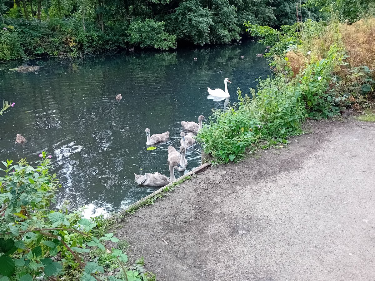 Dan Warren️ tweet media