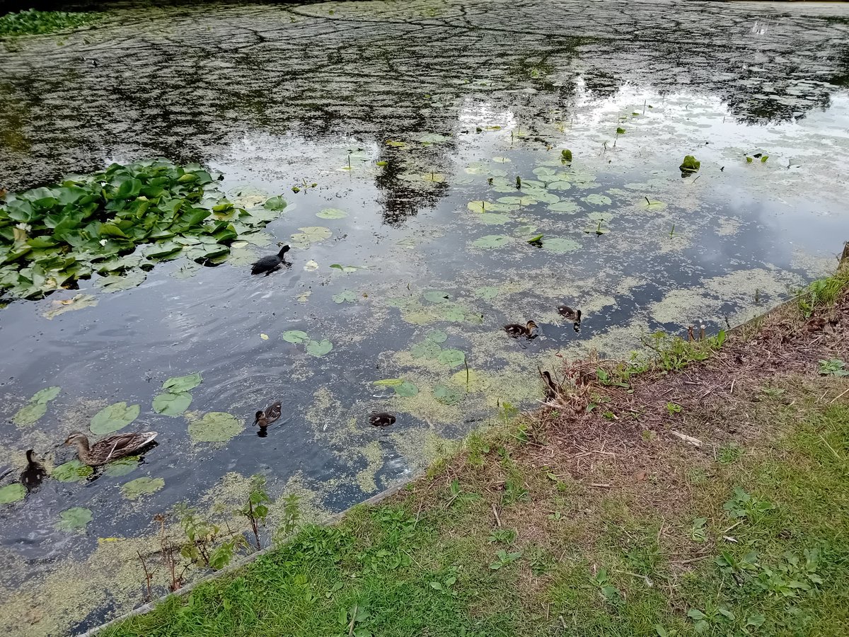 Dan Warren️ tweet media