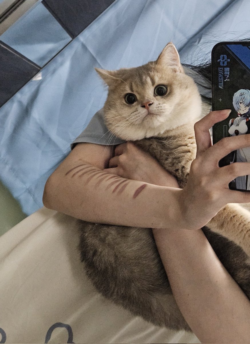 bai347312's tweet image. 