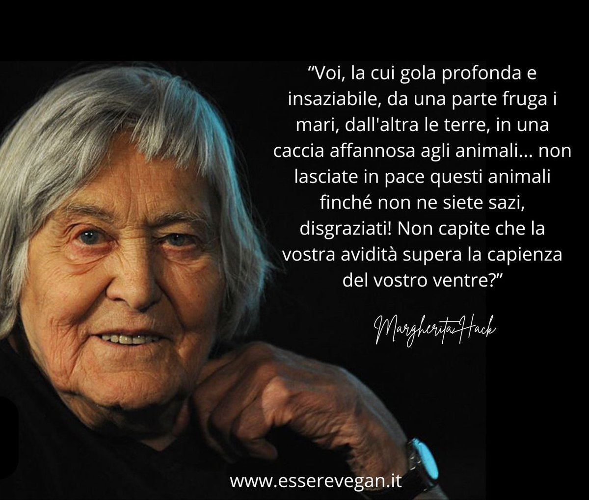 EssereVegan's tweet photo. “Voi, la cui gola profonda e insaziabile, da una parte fruga i mari, dall'altra le terre, in una caccia affannosa agli animali... non lasciate in pace questi animali finché non ne siete sazi, disgraziati! Non capite che la vostra avidità supera la capienza del vostro ventre?” https://t.co/pGGydGluIw
