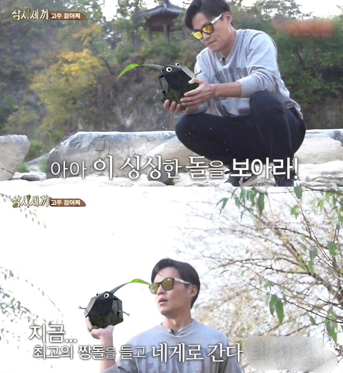 바위 피크민 (@pikmin_rock_) on Twitter photo 