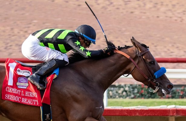 blindadosalas1's tweet photo. #Hipismo #EnElTintero Ayer en #DelMar 🌊 SEISMIC BEAUTY 🇺🇸 ganó de tiro a tiro el #ClementLHirsch (Gr.1) y aseguró su pase a la #BCDistaff La hija de UNCLE MO y nieta de MEDAGLIA D´ORO tuvo a JUAN HERNÁNDEZ y BOB BAFFERT como sus conexiones.

Fotos: @BenoitPhoto_ y @EclipseSports https://t.co/LuGNzEdVT7