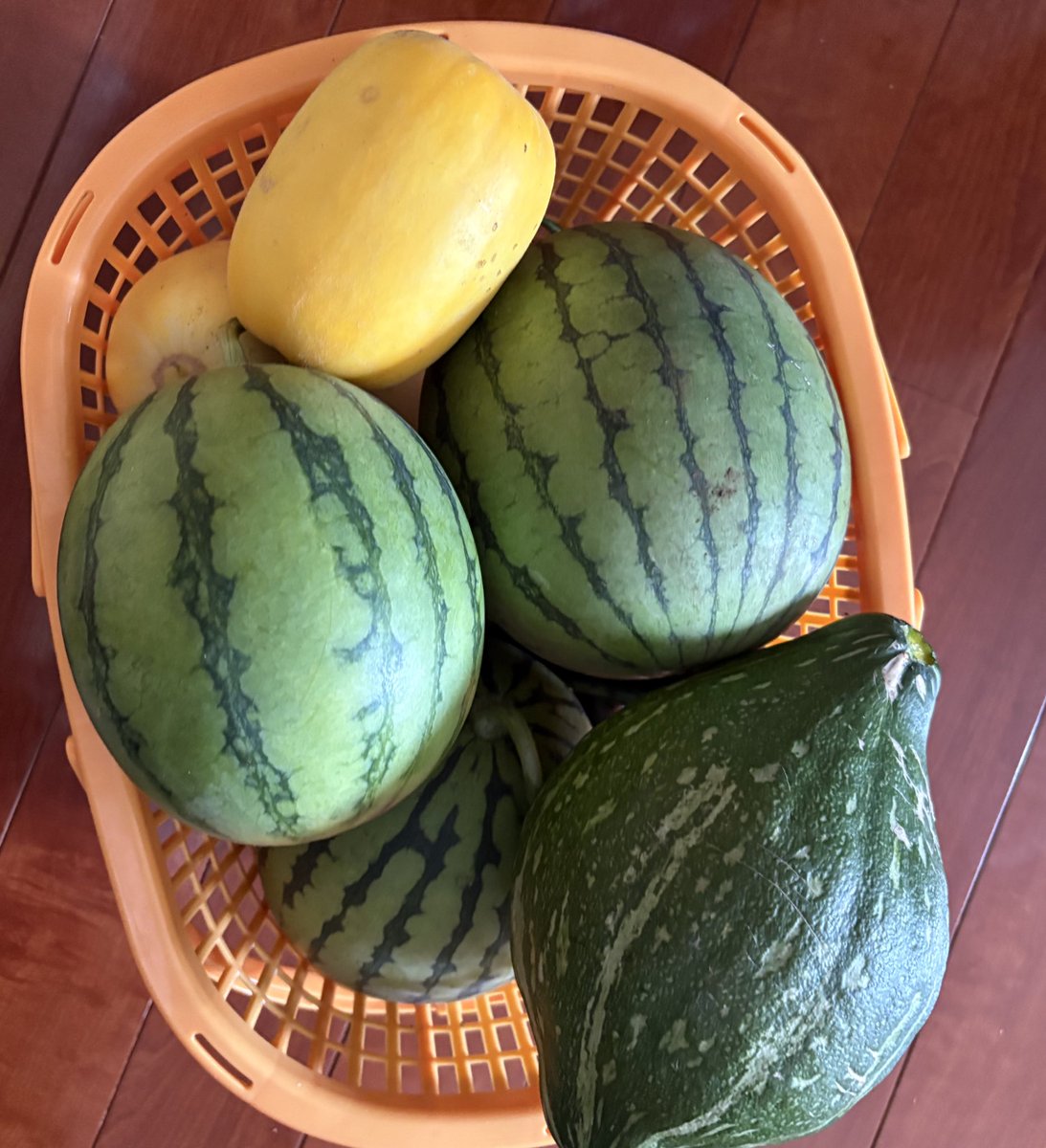 ロロン♬ 2024年7月 北海道上陸7日目 オロロンちゃん再び‼︎ こちらはいつでも