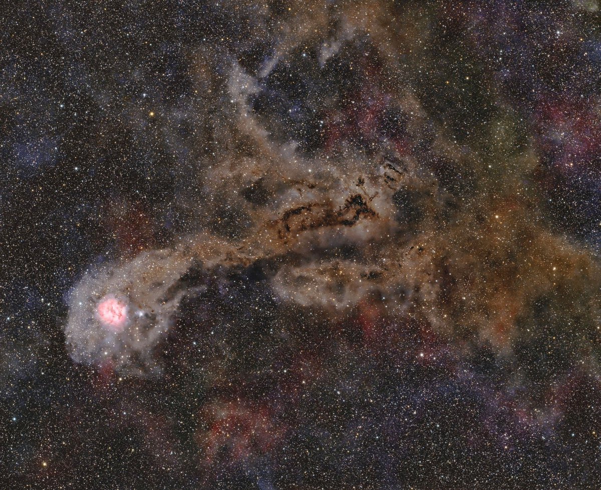 はくちょう座はまゆ星雲周辺となります。20時間ちょっと露出しました。

世界最大の投稿サイトはHαガッツリ+ビビット調が令和のトレンドみたいで、あんまし絵作りの参考にならず…背景のムラみたいなのもガスみたいですが、真偽のほどは。

その他課題は山積ですが、今年はここまでかな。。