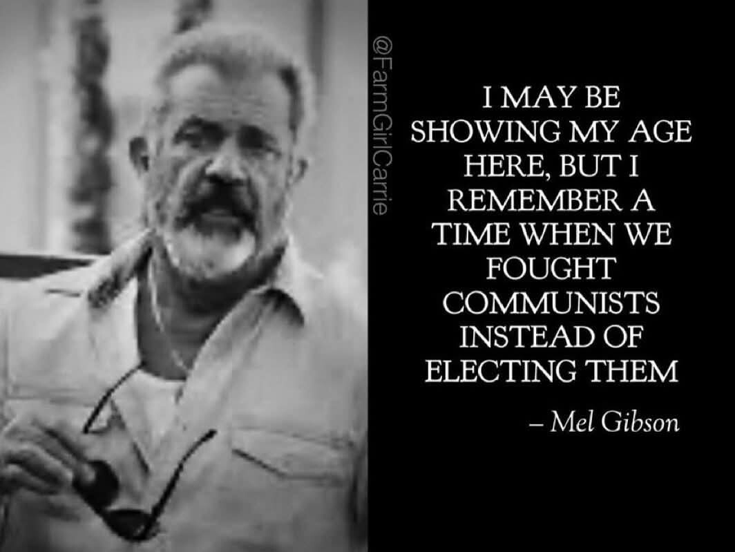 Mel Gibson is a smart man