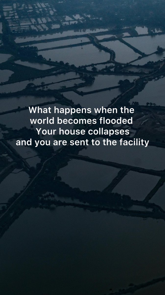 Sam H Arnold tweet media