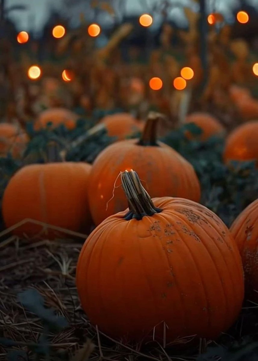 Autumn vibes 🍂🎃