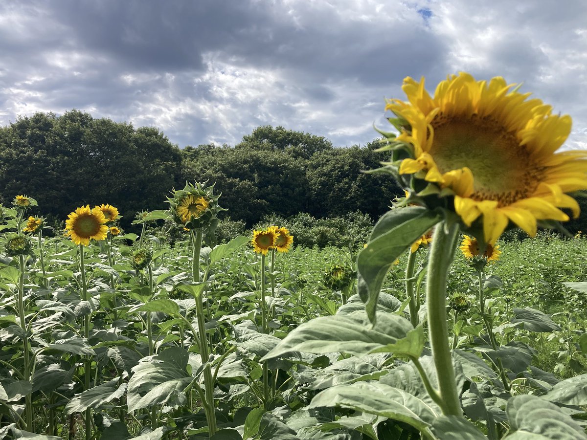 æäºè²Žæ¿ðRMUð (@d_m_takamasa) on Twitter photo ãã¬ã€ã§ããããŒðð»ð³ ãã¬ã€ã§ããããŒðð»ð³