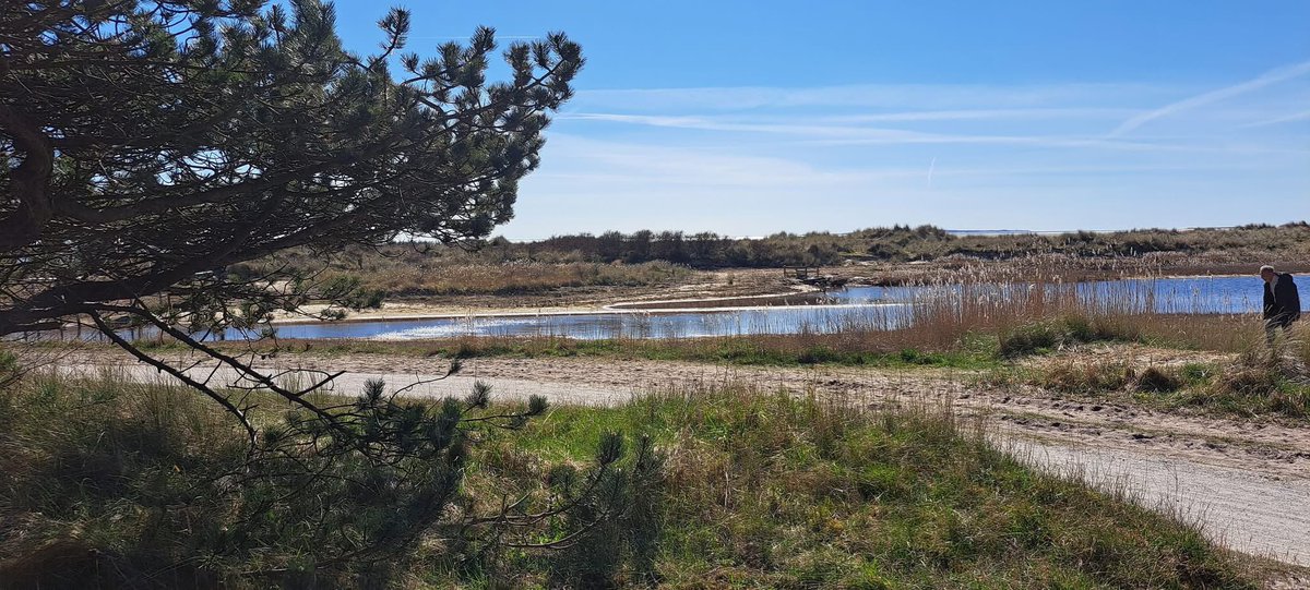 Rondje Terschelling 2025 [20] 🌤️🌬️W4🚵‍♂️