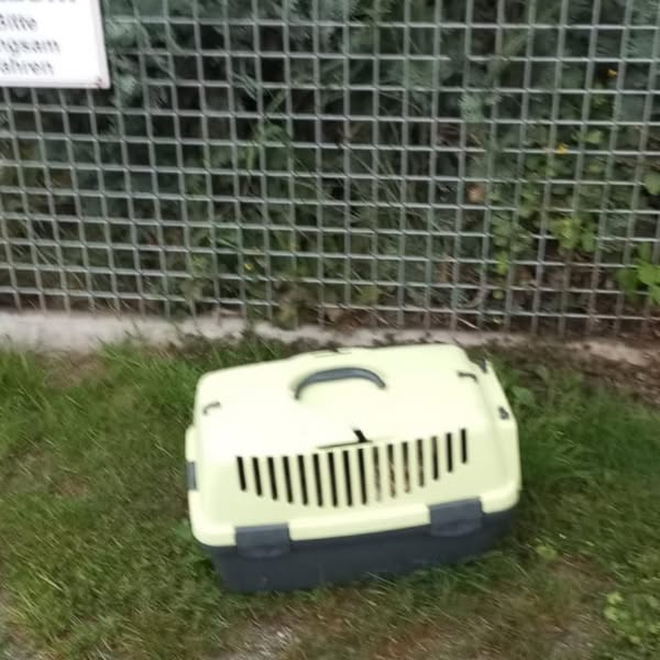 Heideweg 42, 33378 Rheda-Wiedenbrück
Katze in einer Transportbox ausgesetzt
Schutzhof "Four Seasons" e.V. Kopie:
Freitag, 1.08.2025 6:30 Uhr-
Arbeitsbeginn.
Der Tag startet mit einem traurigen Bild:
eine Transportbox, einfach abgestellt vor unserem Tor.
Kein Futter.
Kein Wasser.