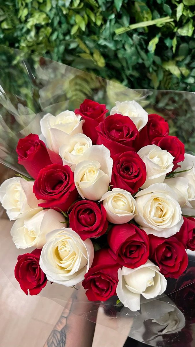SearsJasmi43484's tweet photo. @SearsJasmi43484 https://t.co/qNfs8xDhjx