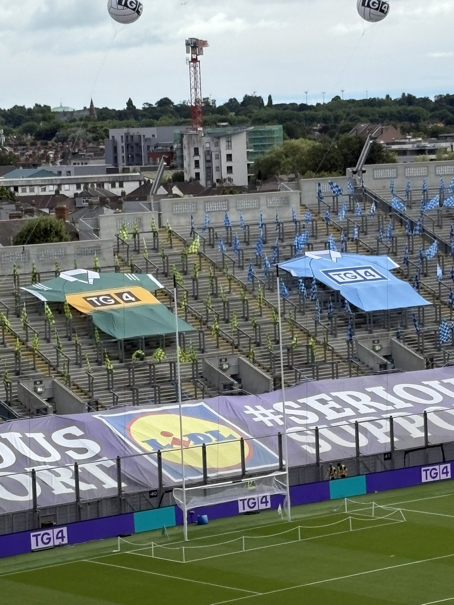 David Sheehan tweet media