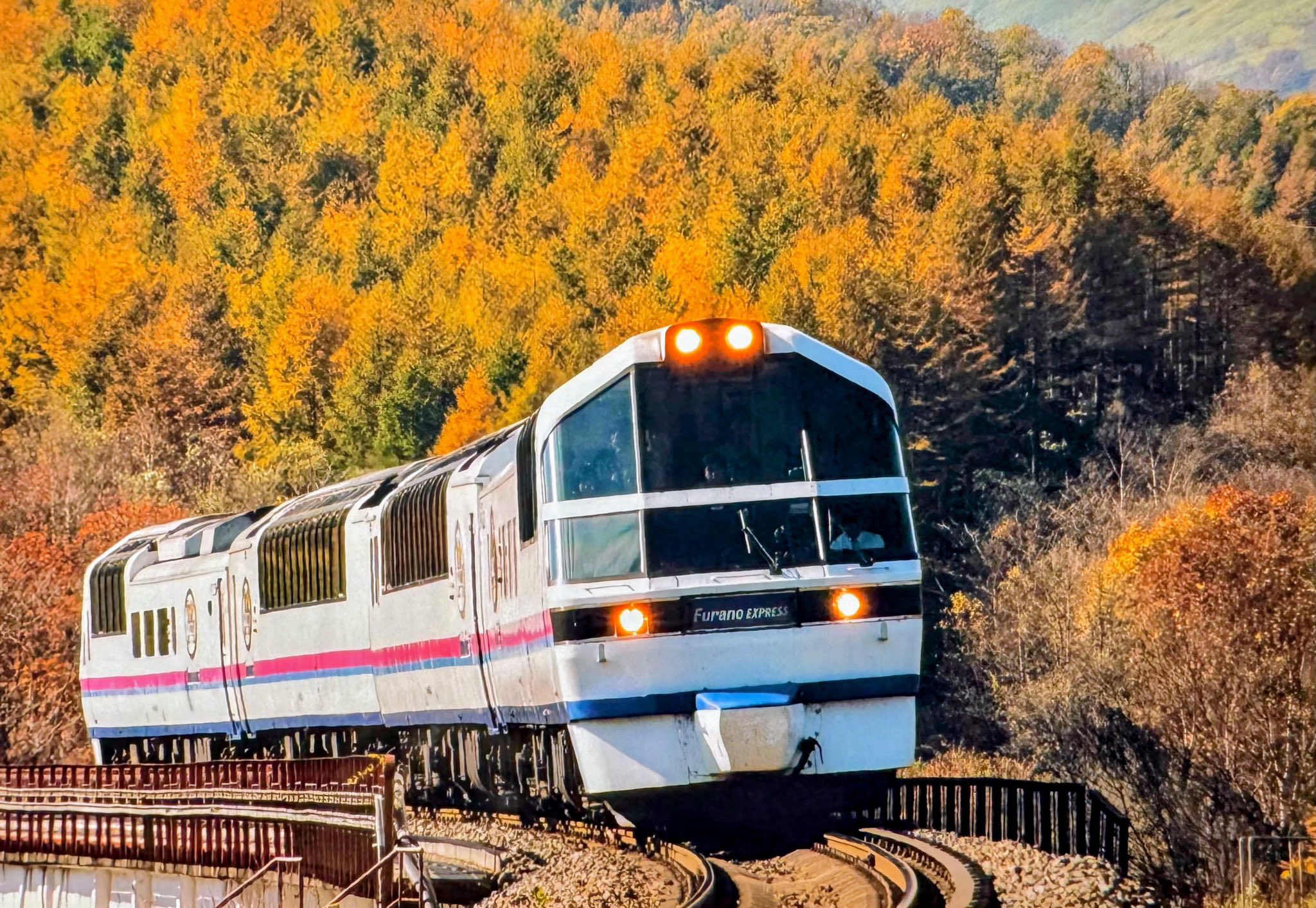 JRキハ84、83系フラノエキスプレス JR北海道 「フラノエクスプレス」「ビッグスニーカー」 キハ84形
