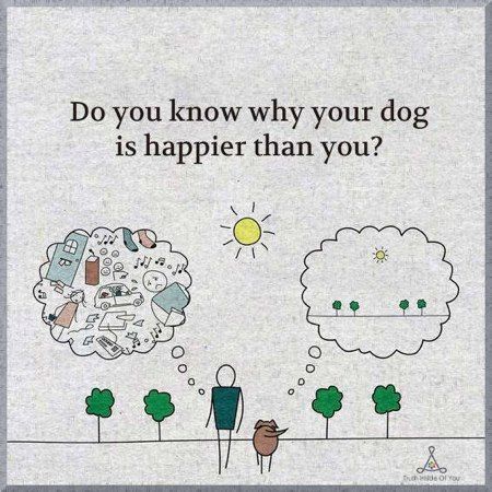 Povilas Korop | Laravel Courses Creator & Youtuber (@povilaskorop) on Twitter photo Happiness protip.
I constantly remind myself of this picture.
Don't overcomplicate life, if you can. Happiness protip.
I constantly remind myself of this picture.
Don't overcomplicate life, if you can.