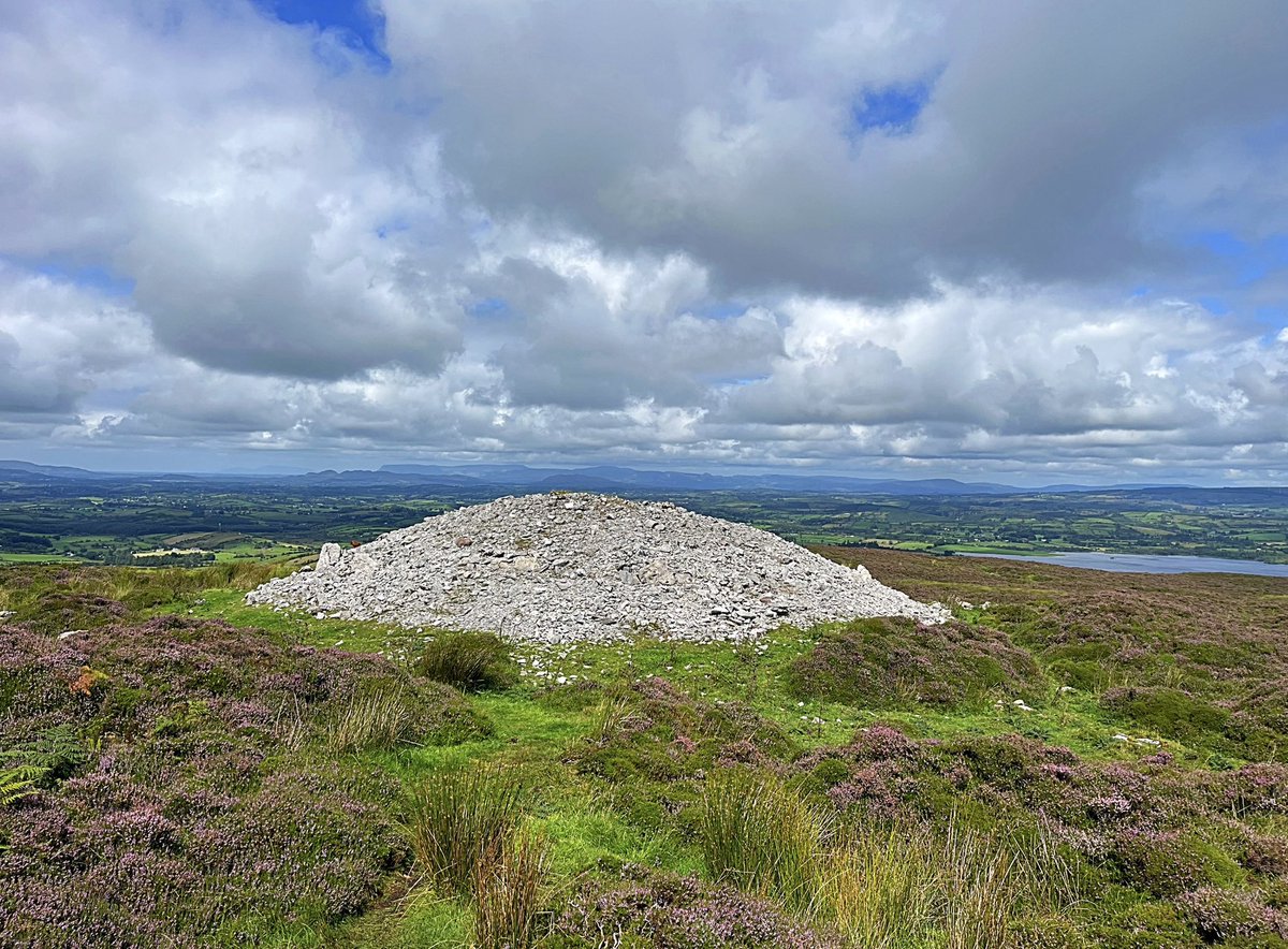 Jim Leary tweet media