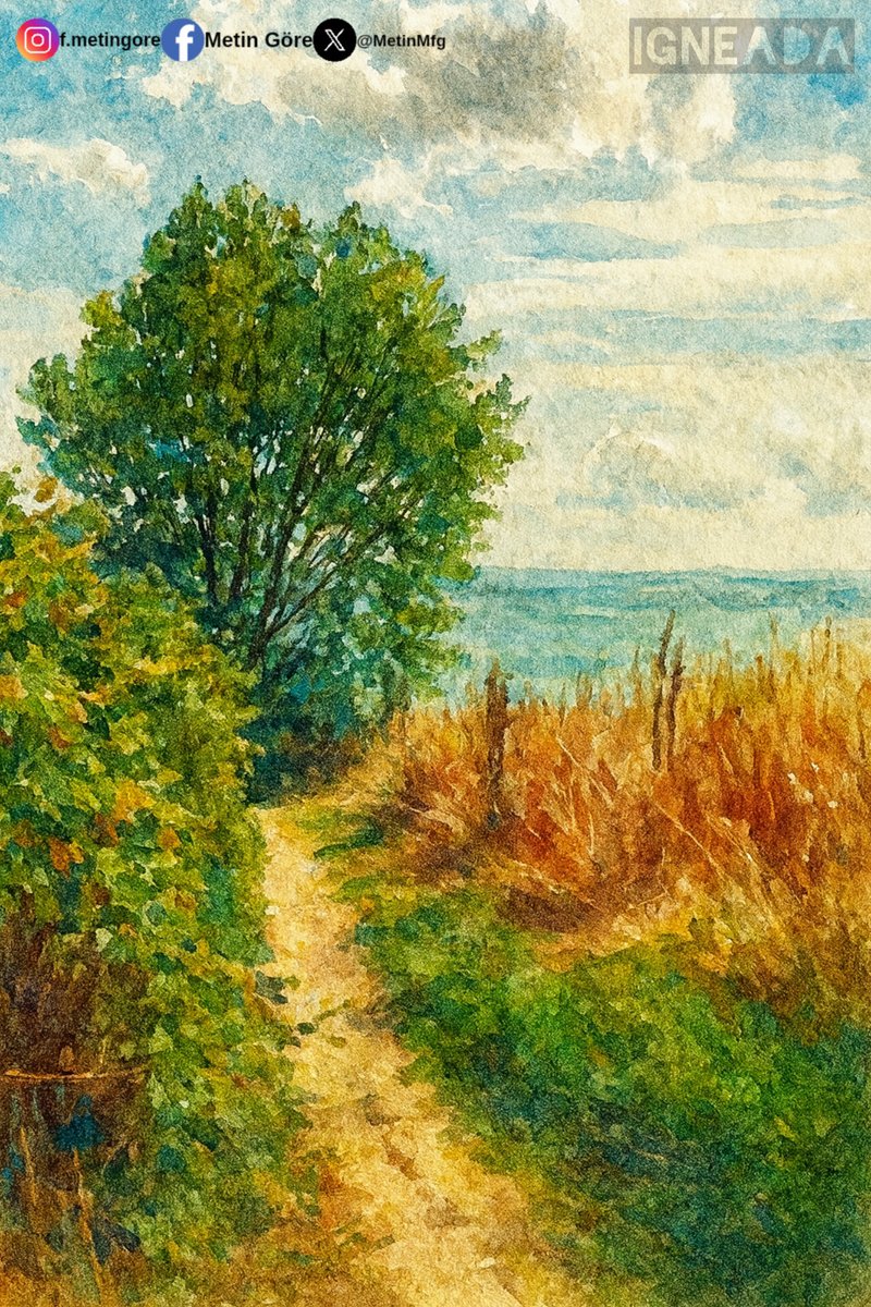 MetinMfg's tweet image. #İğneada @houseoftrakya @nocontextrakya