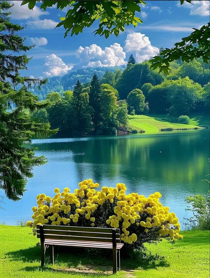 Good Afternoon