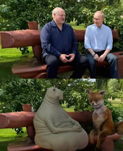 Баба і кіт tweet media