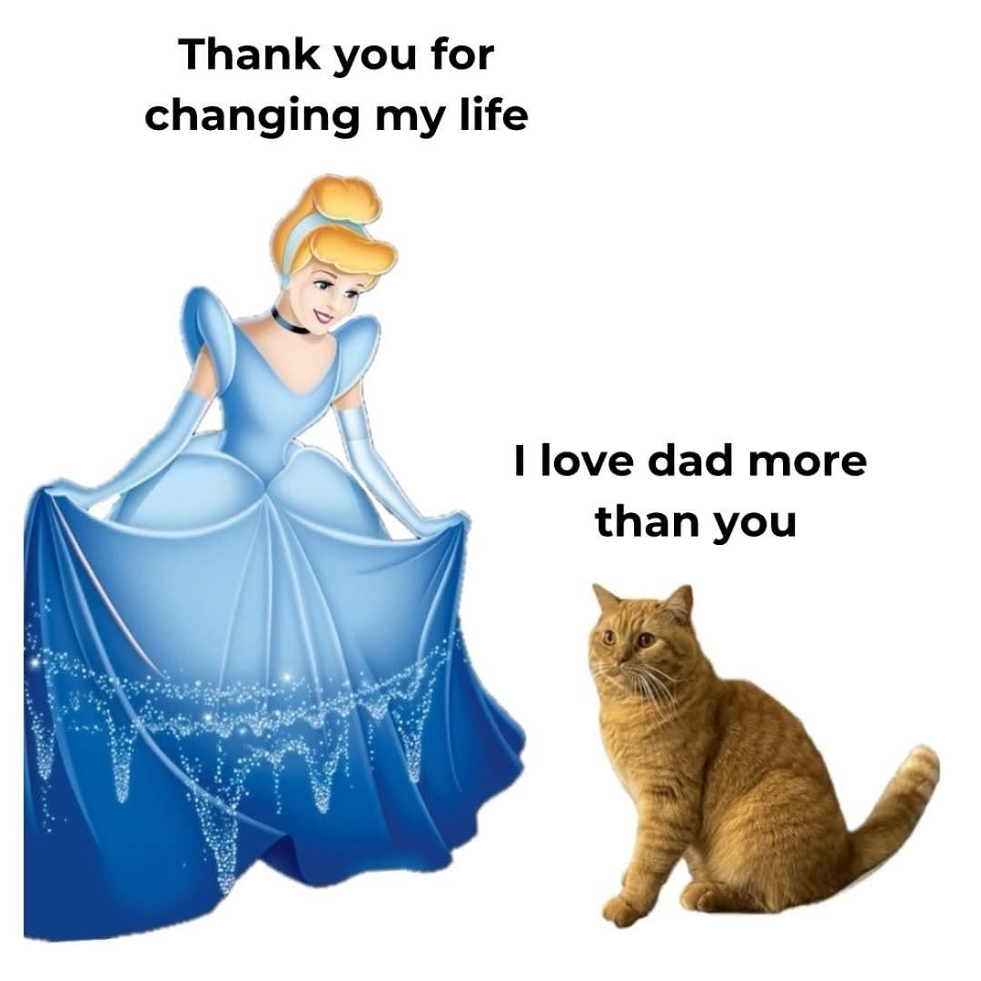 We don't deserve cats 😺 (@catsareblessing) on Twitter photo 